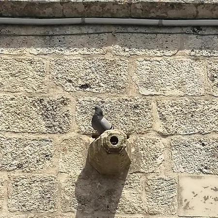 Casina Di Cinzia * Minervino di Lecce